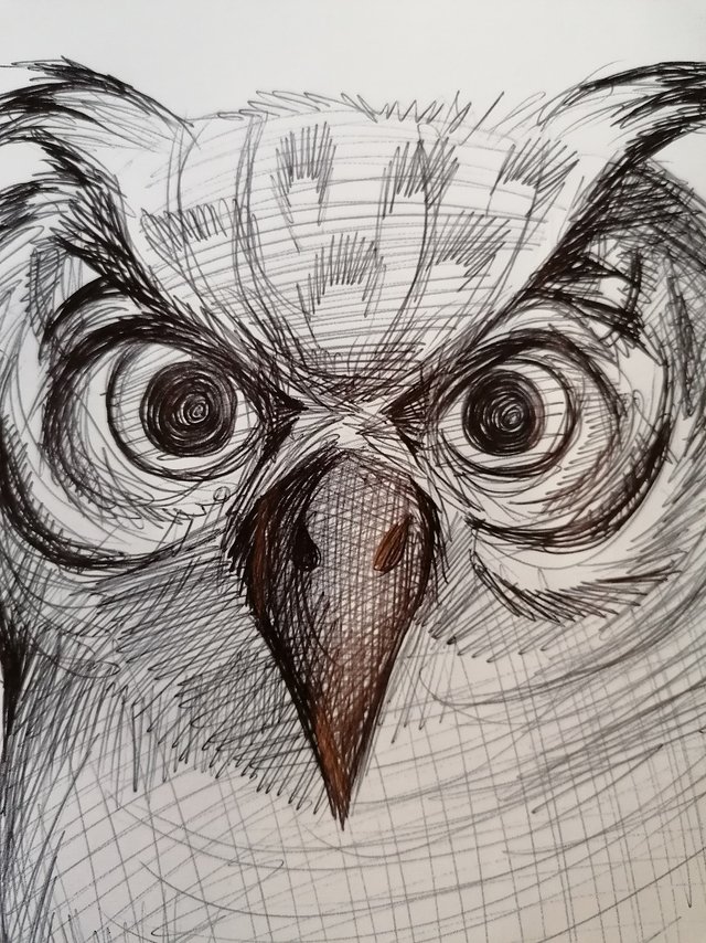 owl pen (10).jpg