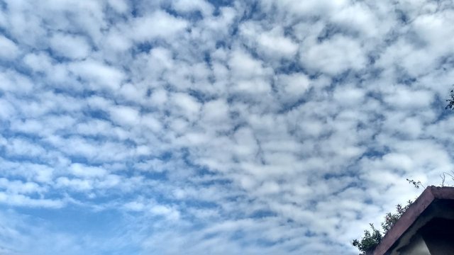 IMG-20201112-WA0005.jpg
