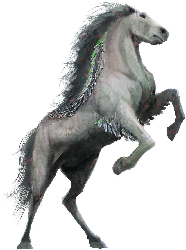 stallion.png