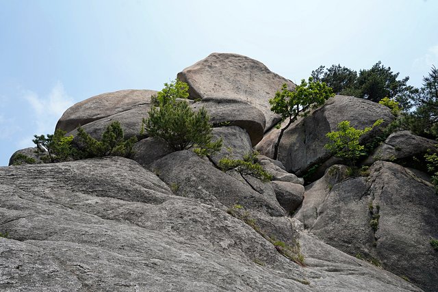 b-DSC02485.JPG