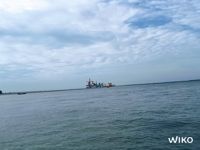 IMG_20241129_134419504.jpg