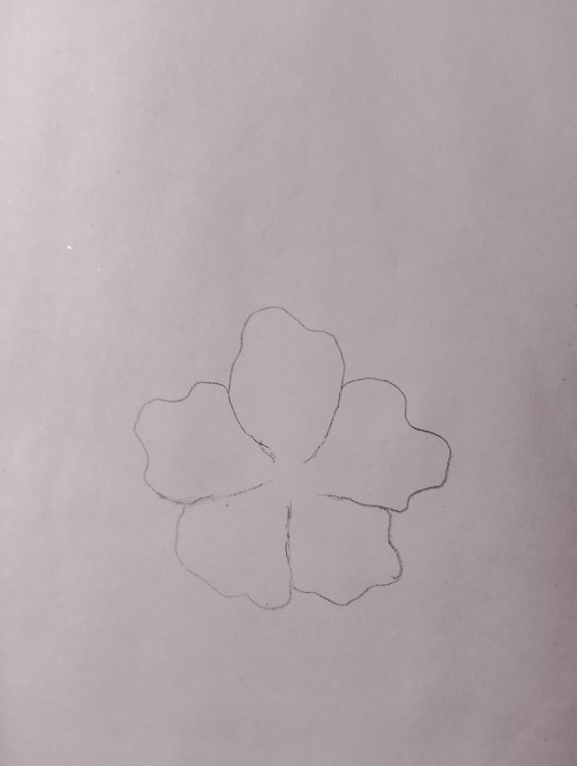 1000029661.jpg