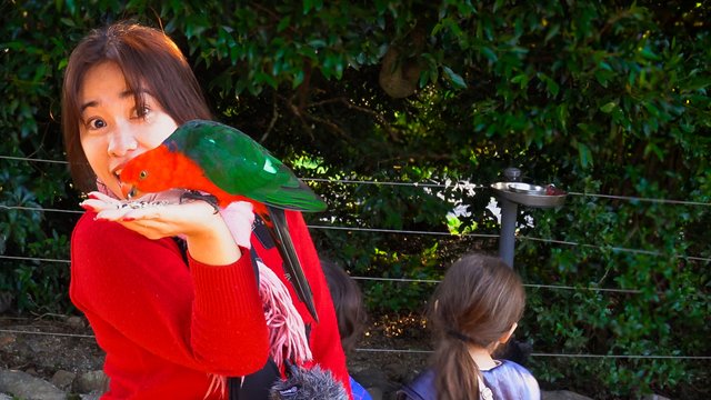 Cheche Bird Feeding.jpg