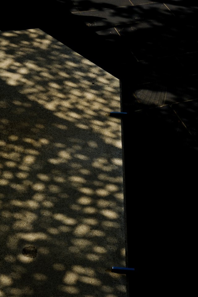 Just Shadows.jpg