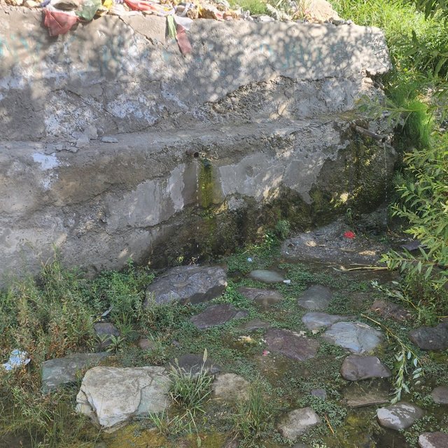 20250727_081141.jpg