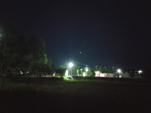 1000041525.jpg