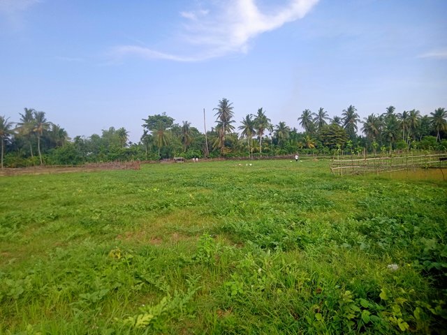 IMG20250626084731.jpg
