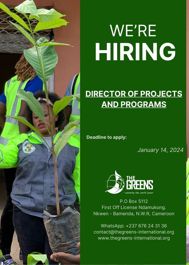 Director of Projects and Programs Job Vacancy.jpg