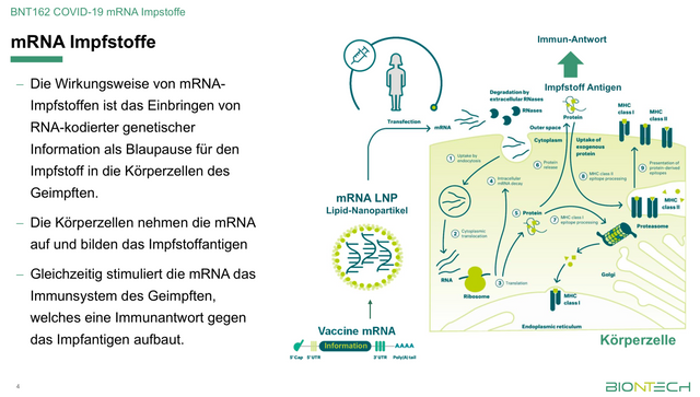 RNA-Impfstoff.png