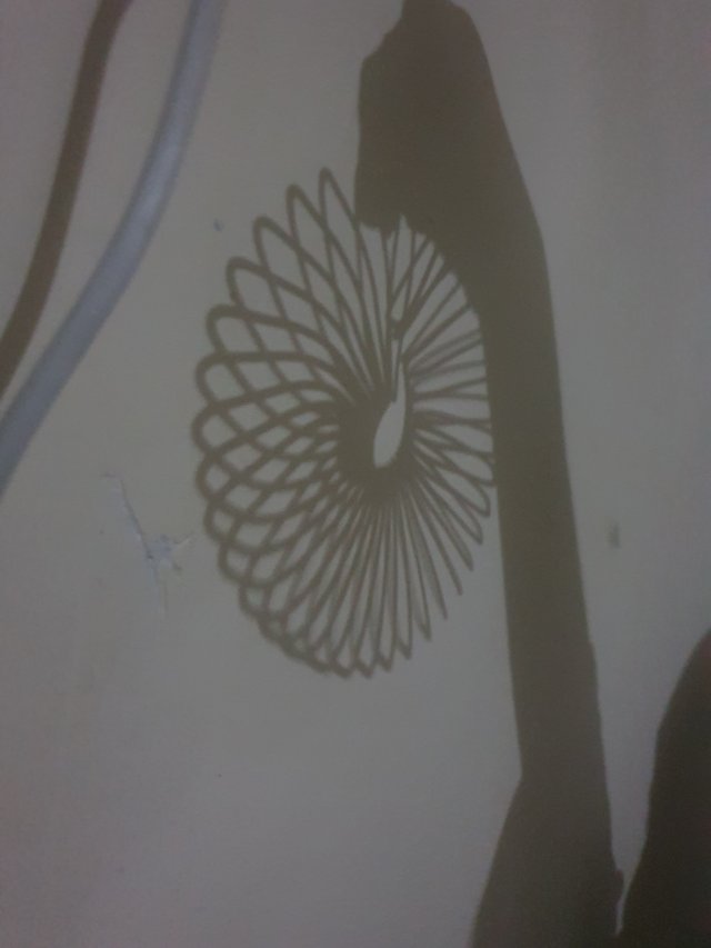 20250825_203645.jpg