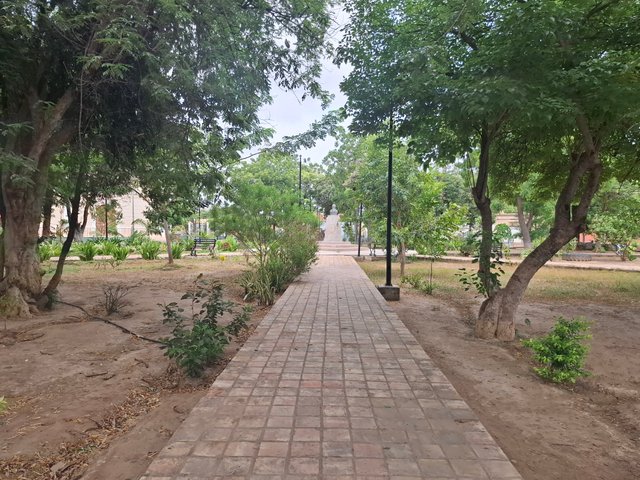 1000172102.jpg