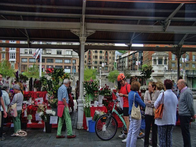 IMGP8158.jpg