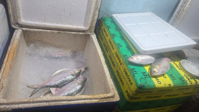 20250812_150340.jpg