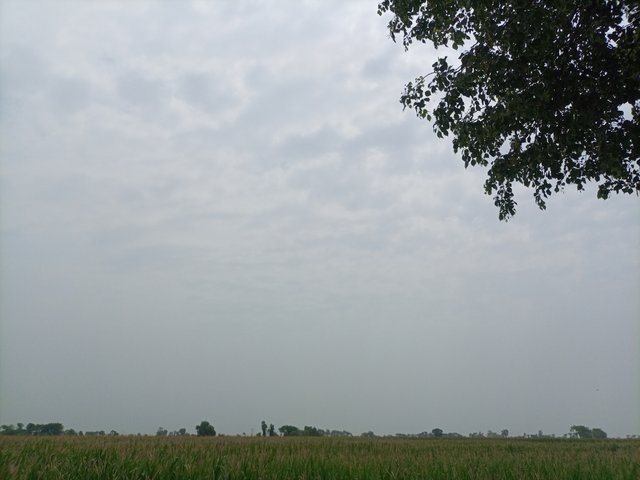 IMG_20250505_123522_415.jpg