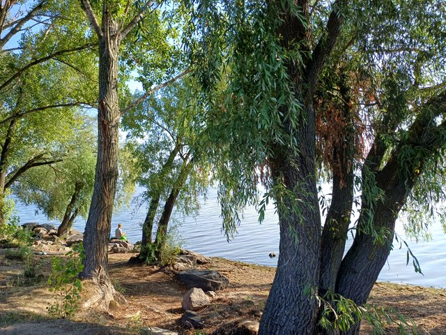 20250810_090521.jpg