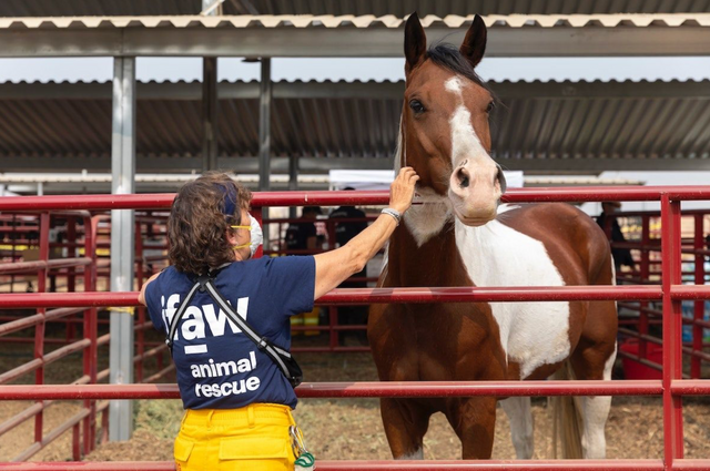 How to Find Your Best Fit Volunteer Opportunity During COVID.png