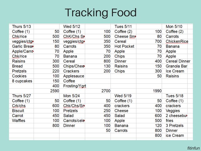 Tracking food fitinfun.jpg
