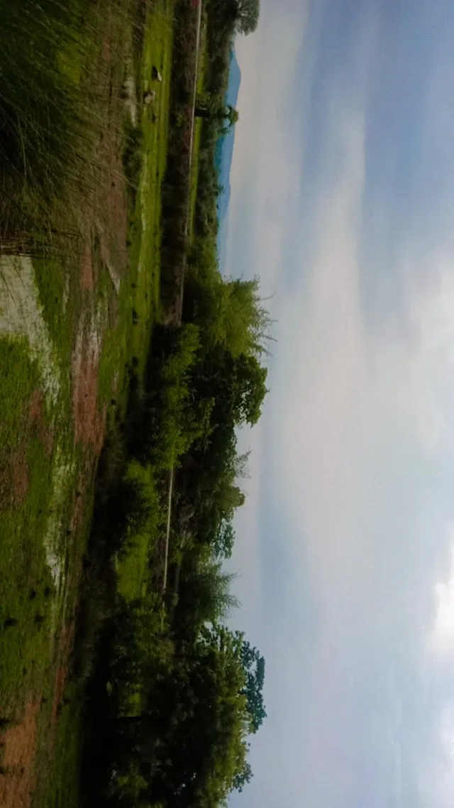 IMG_20230707_182853_784.webp