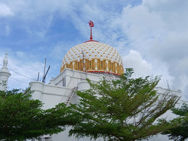 20250406_170719.jpg