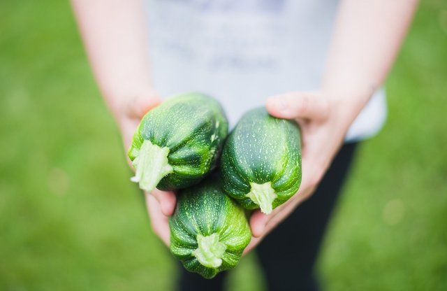 zucchinis-1869941_1280.jpg