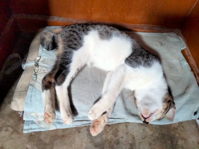 IMG20250610102022.jpg