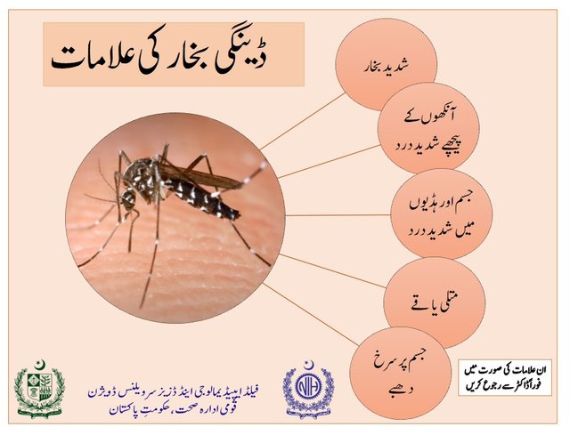 dengue-13-October-2.jpg
