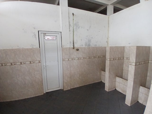 20250402_120233.jpg