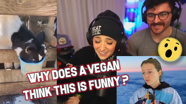 Has Jenna lost her Marbles laughing at baby cow TIKTOK.png