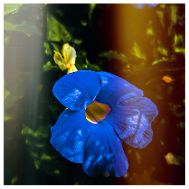 instasquare.photoeditor.effect.cutout_2025513182038975.png