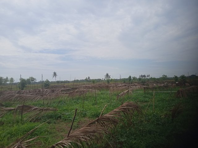 IMG20250618155147.jpg
