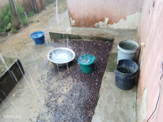 IMG20250705140927.jpg