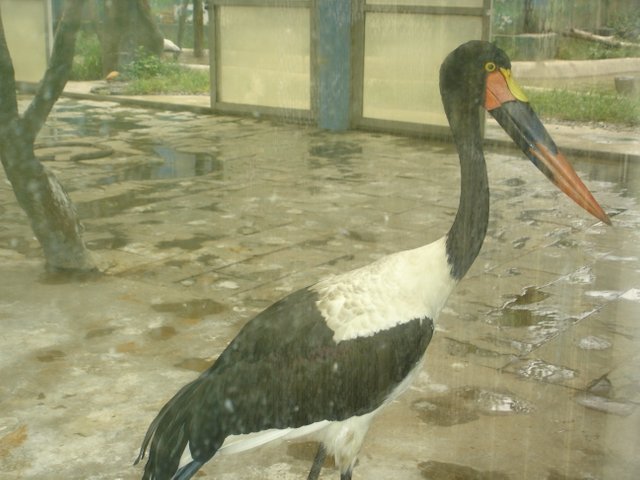 DSC04844.JPG