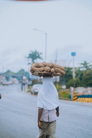 free-photo-of-a-man-carrying-a-large-load-of-potatoes-on-his-head.jpeg