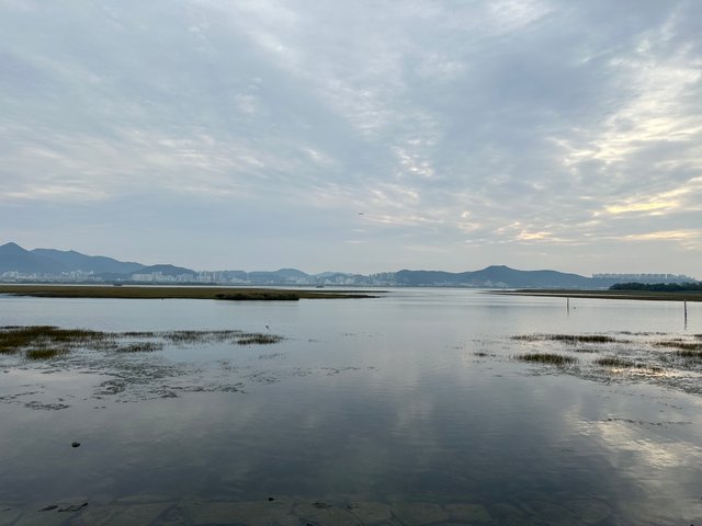 IMG_7150.jpeg
