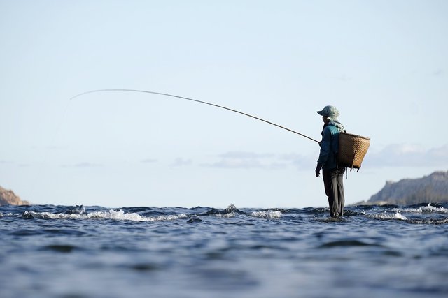 fishing-5552310_1280.jpg