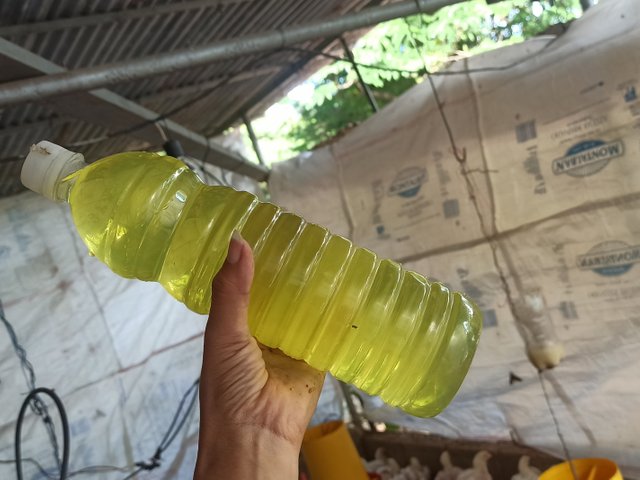 IMG_20250607_082402.jpg