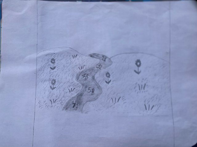 IMG_9487.jpeg