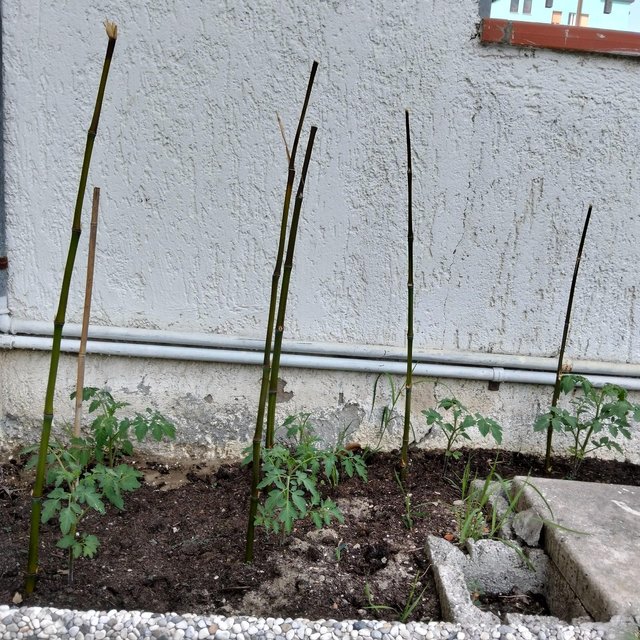 1000053431.jpg