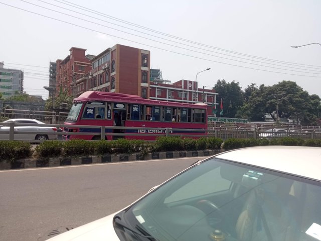 মিটি (4).jpg