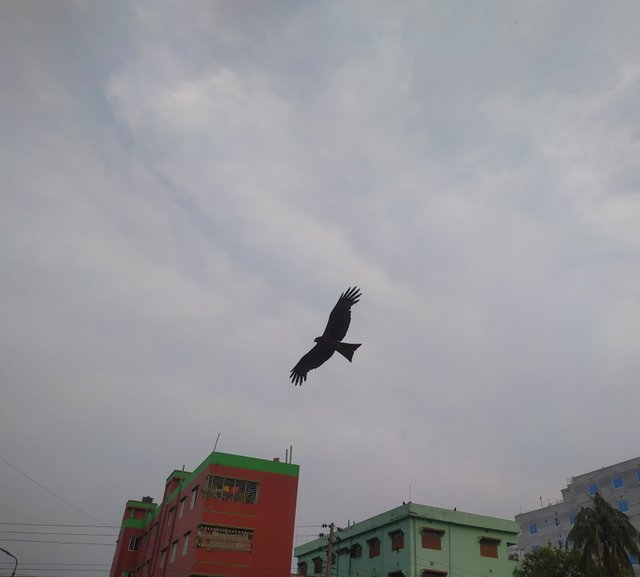 IMG_20230523_072352.jpg