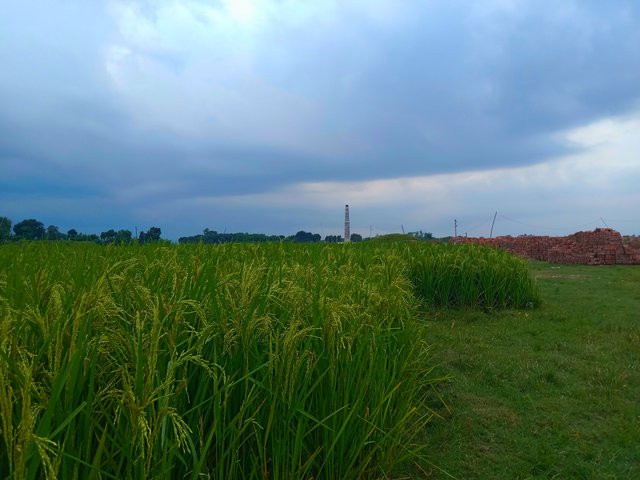 IMG_20250915_105342.jpg