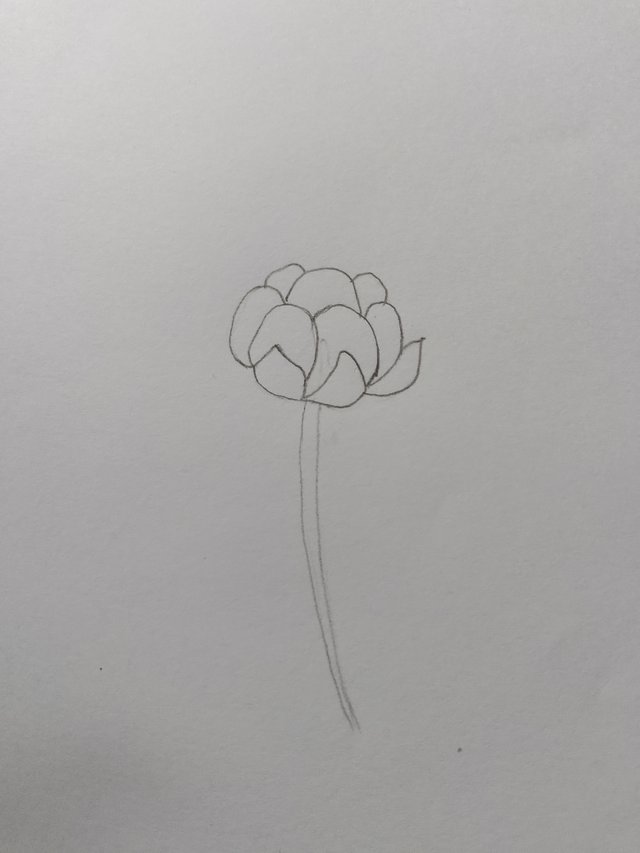 1000054532.jpg