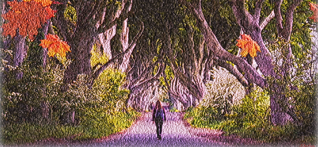 The Lone Path (11).png