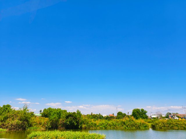 IMG_20250419_102640.jpg