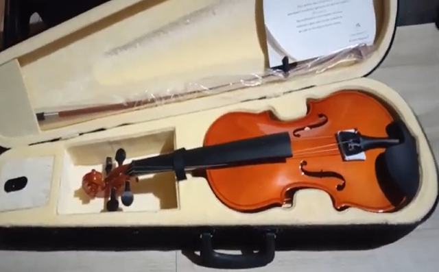 VIOLIN1.png