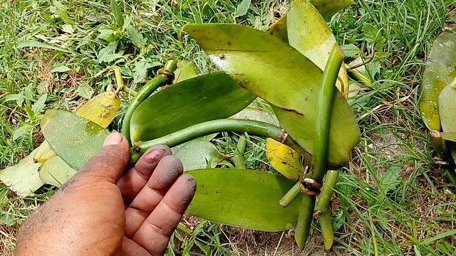 IMG_20250804_121815.jpg
