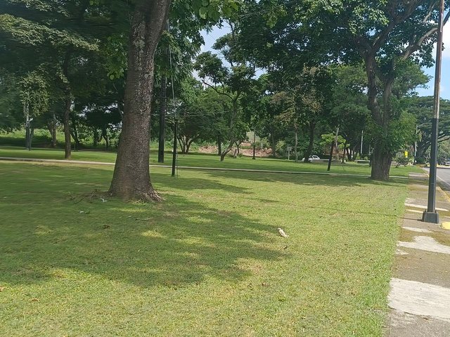 1000615243.jpg
