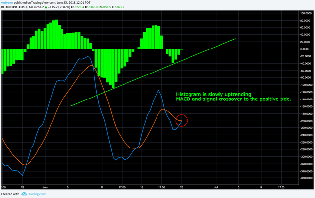 june 25 macd.png