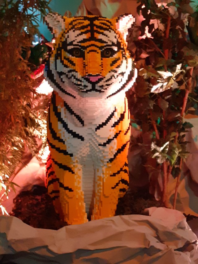 20251016_155932.jpg