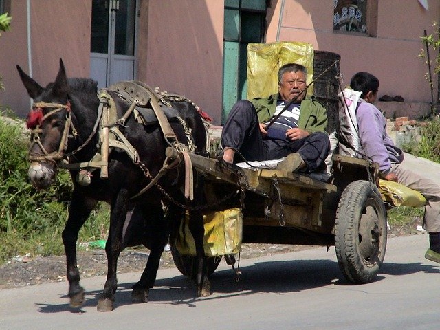 donkey-carts-186121_640.jpg